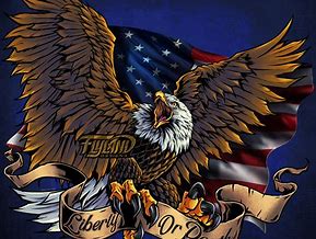 Image result for Bald Eagle with American Flag Drawing