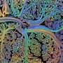 Image result for Neurographic Art Brain