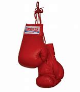 Image result for Boxing