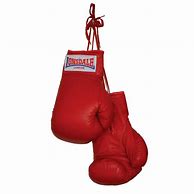 Image result for Boxing Gloves No Background