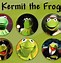 Image result for Kermit PFP 1080X1080 Funny