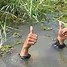 Image result for Thumbs Up Hand Meme