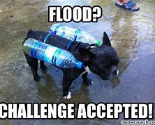 Image result for Dallas Flood Meme