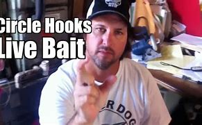 Image result for Circle Fishing Hooks