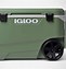 Image result for Green Igloo 13 Can Cooler