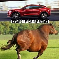 Image result for Electric Mustang Meme