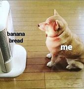 Image result for Dog Bread Meme