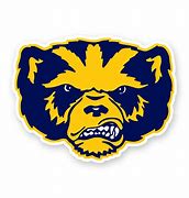 Image result for Michigan Wolverines Football Mascot
