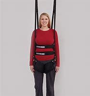 Image result for Easy Walk Chest Harness