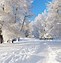 Image result for Bing Free Winter Screensavers