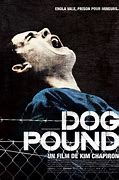 Image result for Dog Pound Portraits