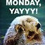 Image result for Monday Lady Meme