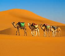 Image result for Beautiful Deserts in the World