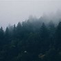 Image result for 4K Nature Desktop Wallpapers Fog