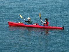 Image result for Pedal Kayak Pros and Cons