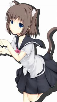 Image result for Anime Cat Girl PNG