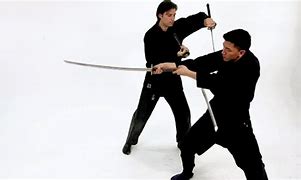 Image result for Sword-Fighting