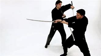 Image result for Modern Sword-Fighting