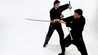 Image result for Fight Styles Martial Arts