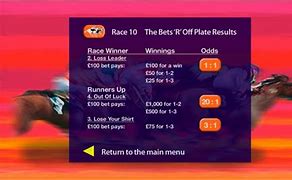 Image result for Dubai Horse Racing