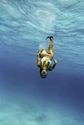 Image result for Into the Blue Movie