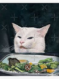 Image result for Woman Cat Meme Blank