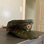 Image result for German Army Hat