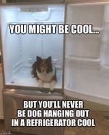 Image result for Chillin Dog Meme