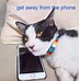 Image result for Dank Cat Memes Clean