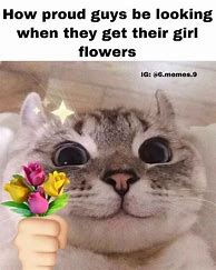 Image result for Funny Cat and Flower