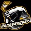 Image result for Sonix Hockey Logo
