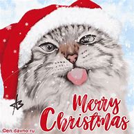 Image result for Merry Christmas Neon Cat