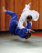 Image result for Judo Body