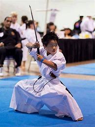 Image result for Japan Martial Arts
