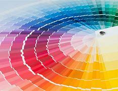 Image result for What Is the Most Popular Colour