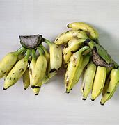 Image result for organic banana