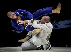 Image result for Jiu Jitsu Fight Referes