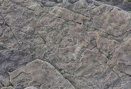 Image result for Gray Rock Texture