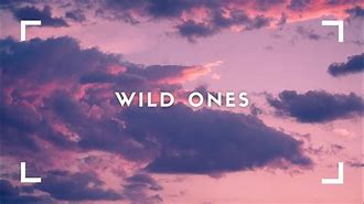 Image result for Flo Rida Wild Ones (feat. Sia)