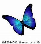 Image result for Turquoise Butterfly Wallpaper