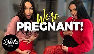 Image result for Bella Twins Pregnancy