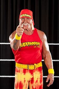 Image result for WWE Basic Hulk Hogan