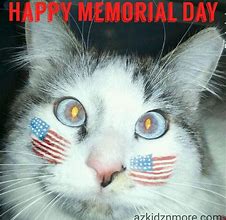 Image result for Memorial Day Cat Meme