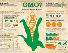 Image result for Types of GMO