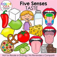 Image result for Five Senses Taste Activities