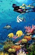 Image result for Amazing Underwater Wallpaper