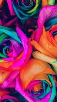 Image result for iPhone 6 Color Rose