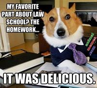 Image result for Funny Animal School Memes