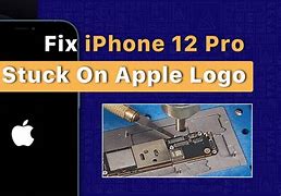 Image result for iPhone 12 Frozen Apple Logo