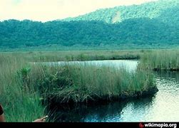 Image result for Tagimoucia Lake